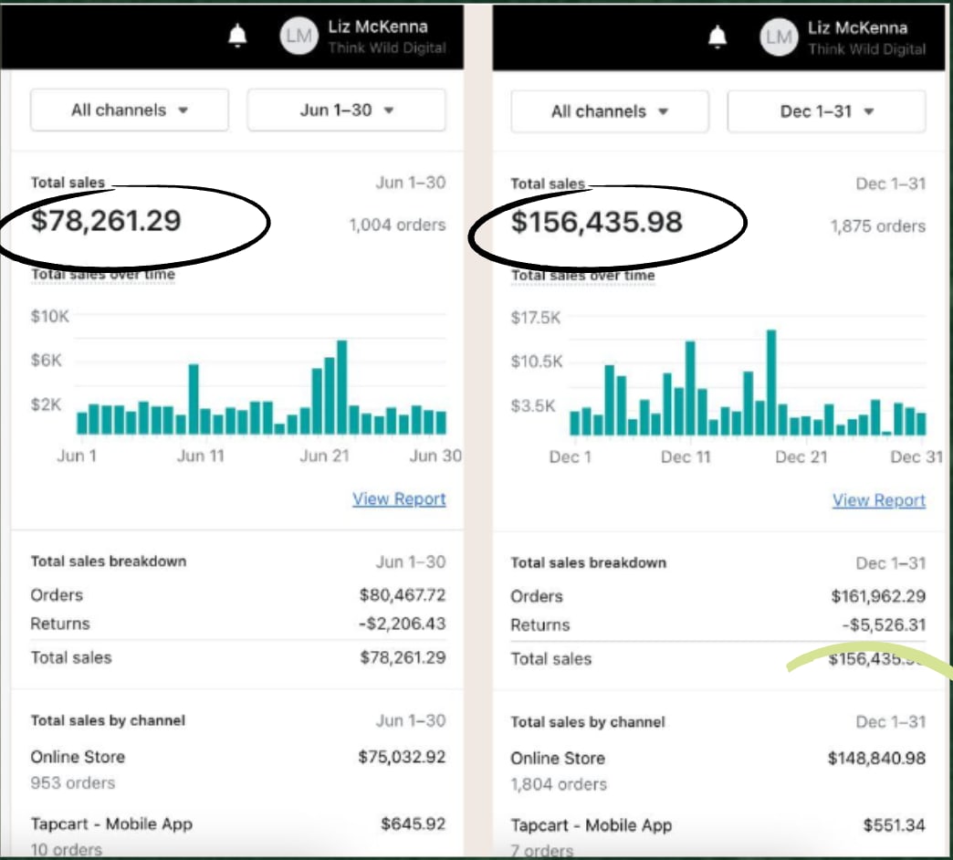 Shopify dashboard: total sales $78,261.29 in June and $156,435.98 in December